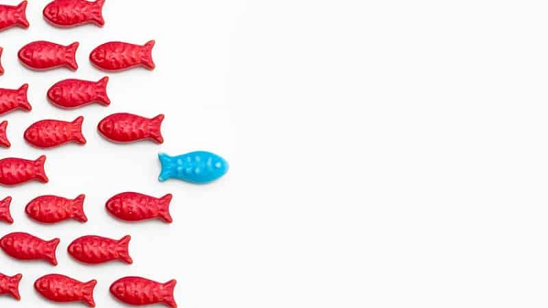 النساء والمناصب التنفيذية