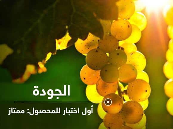 التدفق في العرض التقديمي