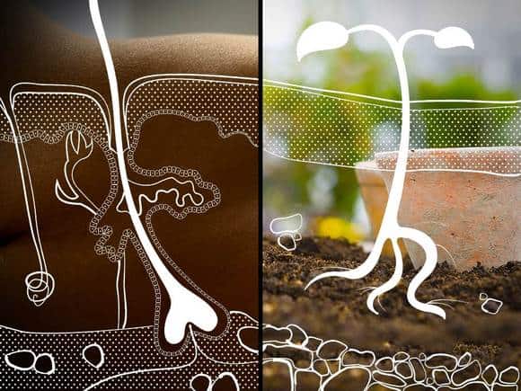 تباين الألوان في العرض التقديمي