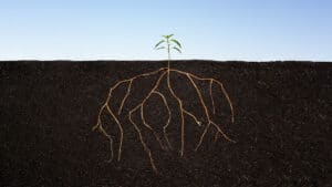 تحديد أهداف الشركة