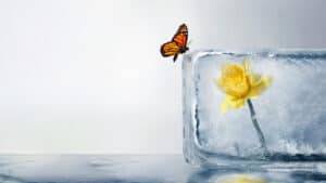 إدارة آمال المرضى