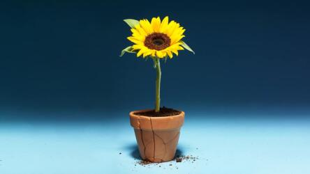 الظهور بشكل أخلاقي في العمل