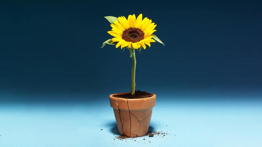 الظهور بشكل أخلاقي في العمل