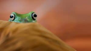 معيقات النقاش البناء