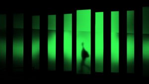 معرفة رواتب الزملاء