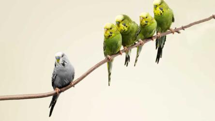 التعامل مع الموظف السيئ