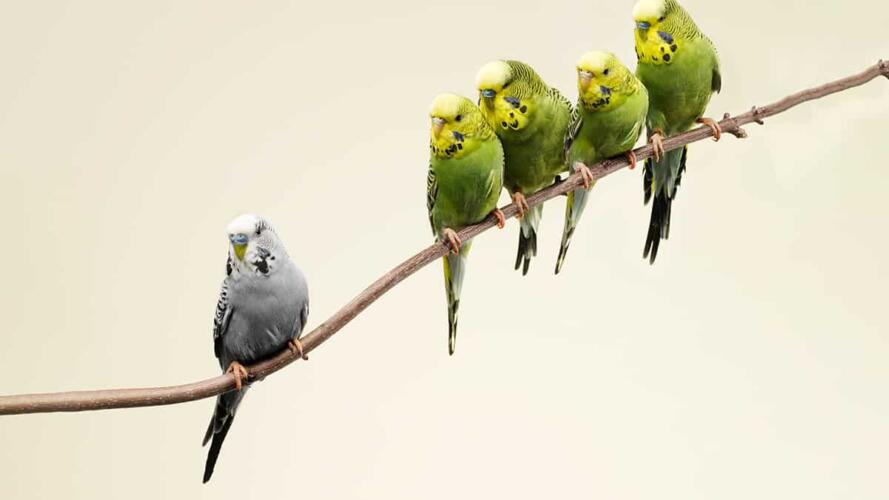 التعامل مع الموظف السيئ