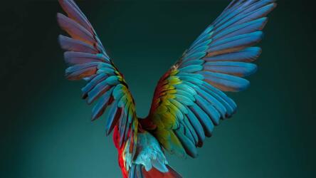 إدماج ذوي الاحتياجات الخاصة في الشركة