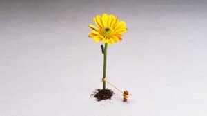 إدماج الموظفين في العمل