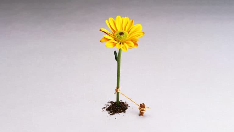 إدماج الموظفين في العمل