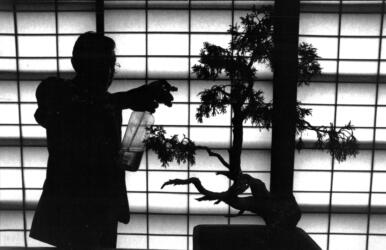 بناء فريق مبيعات ناجح