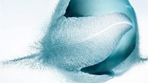 سر إنجاح الشركة الناشئة