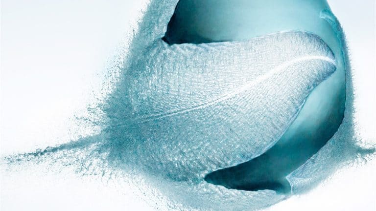 سر إنجاح الشركة الناشئة