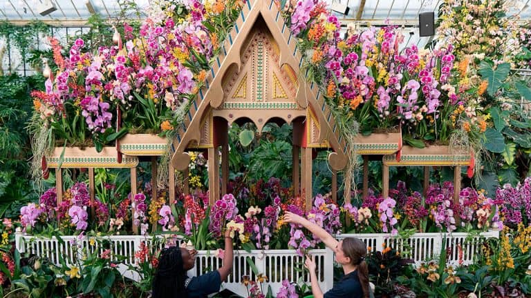 زيادة إنتاجية العمل