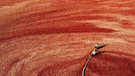 أسلوب تنظيم وقت العمل