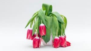 كيف يتفادى المدير إنهاك موظفيه