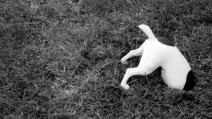 علاج ضياع الوقت