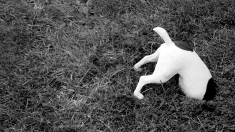 علاج ضياع الوقت