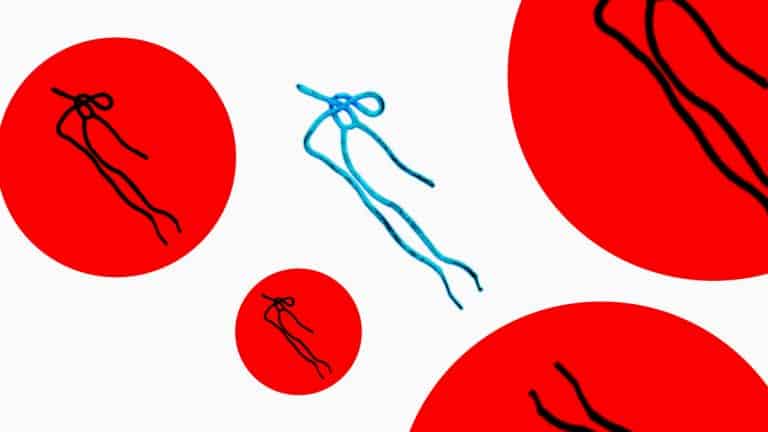 احتواء الأوبئة