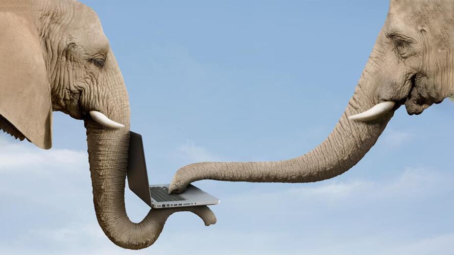 المبيعات في العالم الرقمي