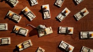 الأزمات السياسية واستثمار الشركات