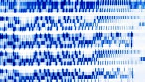 تطبيقات الذكاء الاصطناعي في الرعاية الصحية