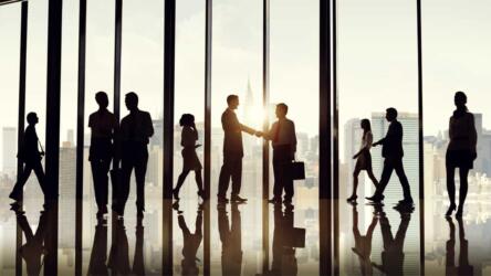 بناء شبكة علاقات في العمل