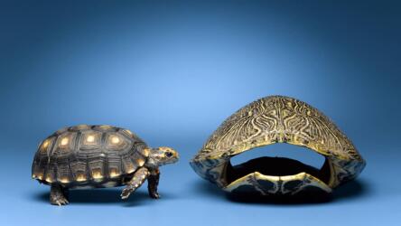 أسباب ترك الموظفين للعمل