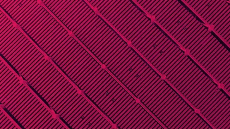 الاختيار بين الأتمتة أو فرص العمل