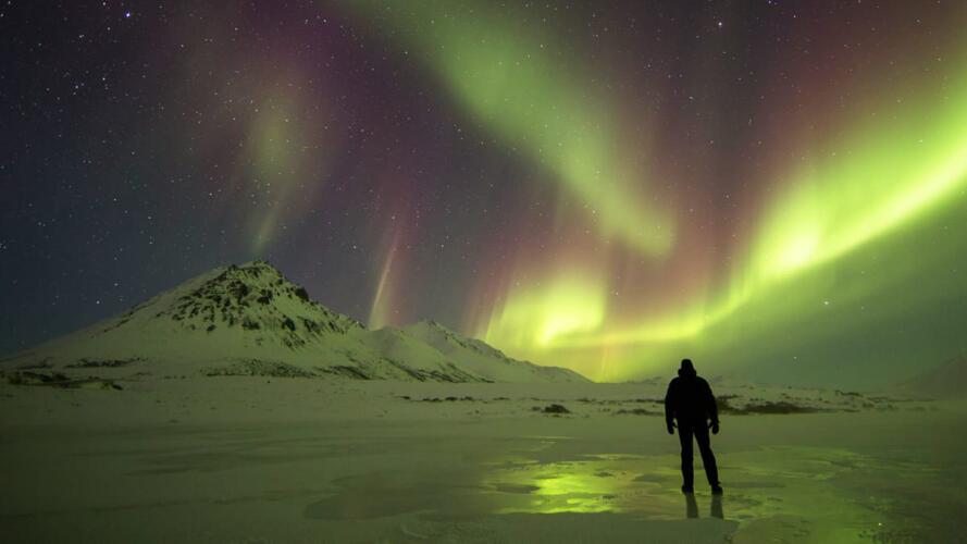 أسئلة يطرحها القائد على نفسه