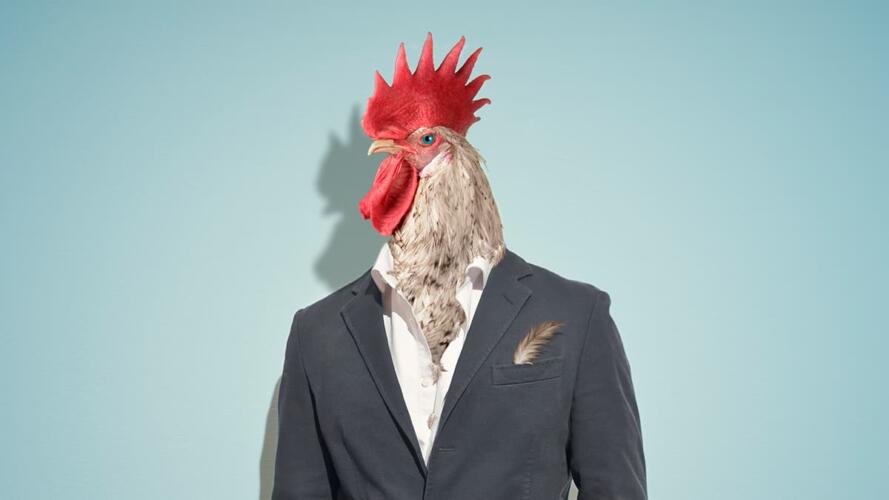 القيادة الرشيدة