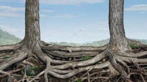 الالتزام التنظيمي