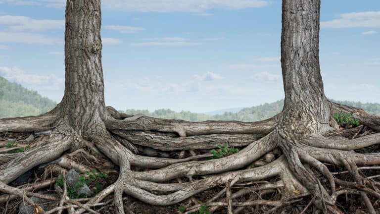 الالتزام التنظيمي