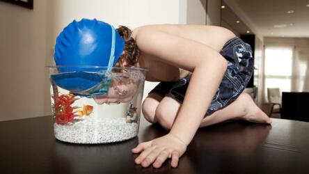 التخلّص من الإدارة التفصيلية