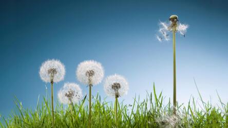 سلوكيات للإدارة خلال الأزمات