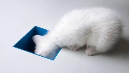 افقد القدرة على التركيز في العمل