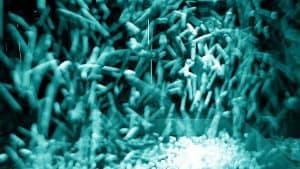 انتهاج الخطط غير المتوقعة