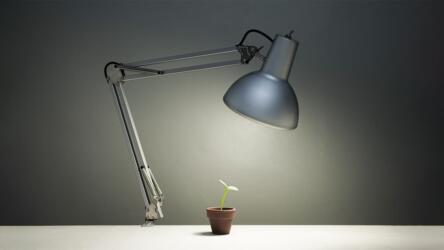 الاستراتيجية القيادية