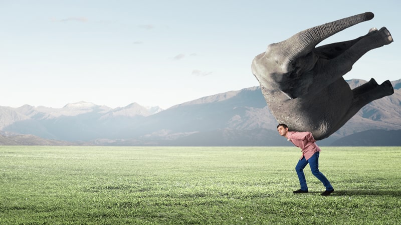 البيانات الضخمة في الإدارة