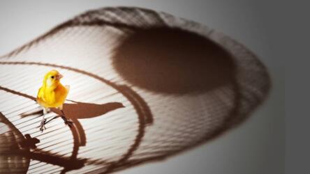 كيف يمكنني أن أتحرر من القلق أثناء العمل