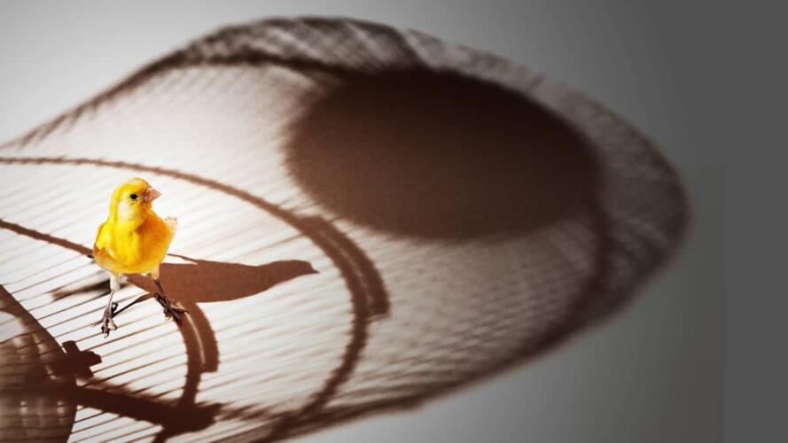 كيف يمكنني أن أتحرر من القلق أثناء العمل