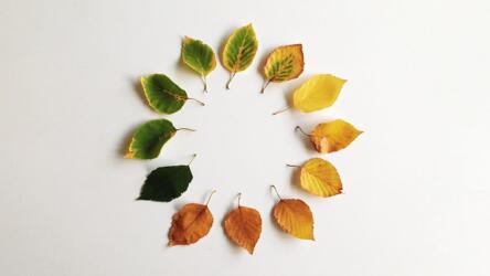 ثقافة التحسين المستمر