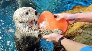 التخلص من الشعور بالفشل