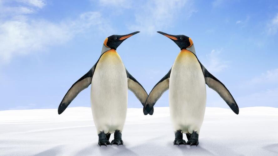 التعاطف مع الموظفين