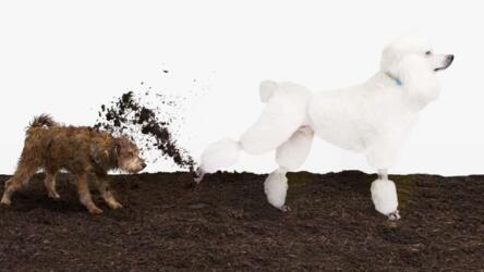 كيف أتعامل مع زملاء العمل المستفزين