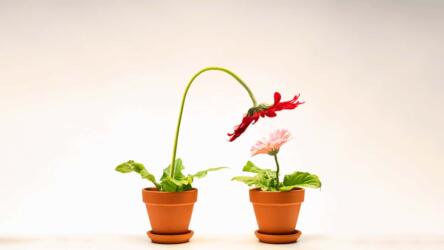 محادثات لتدريب الموظفين المبتدئين