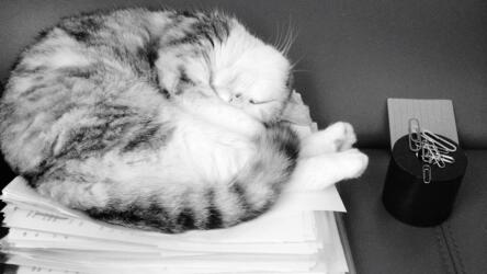 استراتيجيات التغلب على التسويف