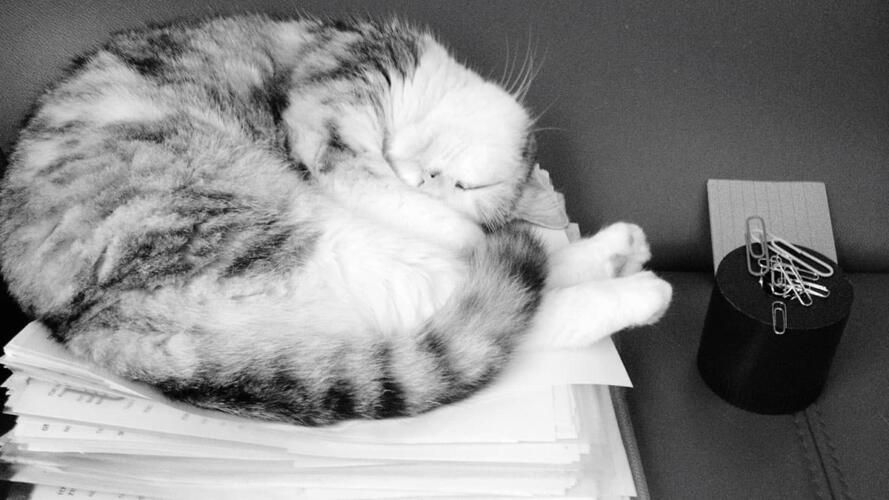 استراتيجيات التغلب على التسويف