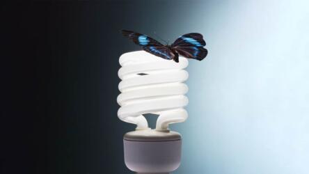 فعالية مكافحة التغير المناخي