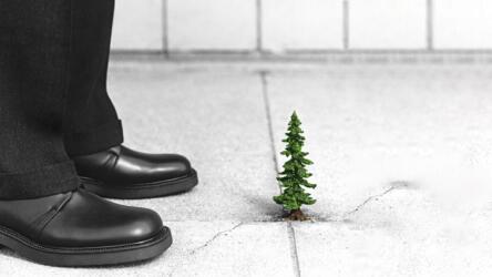 التغير المناخي وعدم المساواة